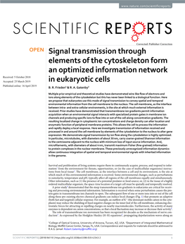 Signal Transmission Through Elements of the Cytoskeleton Form An