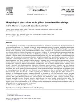 Morphological Observations on the Gills of Dendrobranchiate Shrimps Joel W