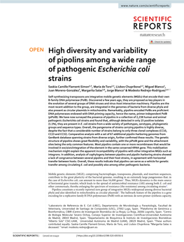 High Diversity and Variability of Pipolins Among a Wide Range Of