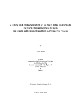 Cloning and Characterization of Voltage-Gated Sodium and Calcium Channel Homologs from the Single-Cell Choanoflagellate, Salpingoeca Rosetta
