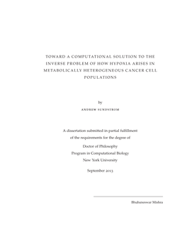 Toward a Computational Solution to the Inverse Problem of How Hypoxia Arises in Metabolically Heterogeneous Cancer Cell Populations