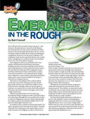 Emerald in the Rough by Rob Criswell