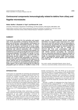 Centrosomal Components Immunologically Related to Tektins from Ciliary and ﬂagellar Microtubules