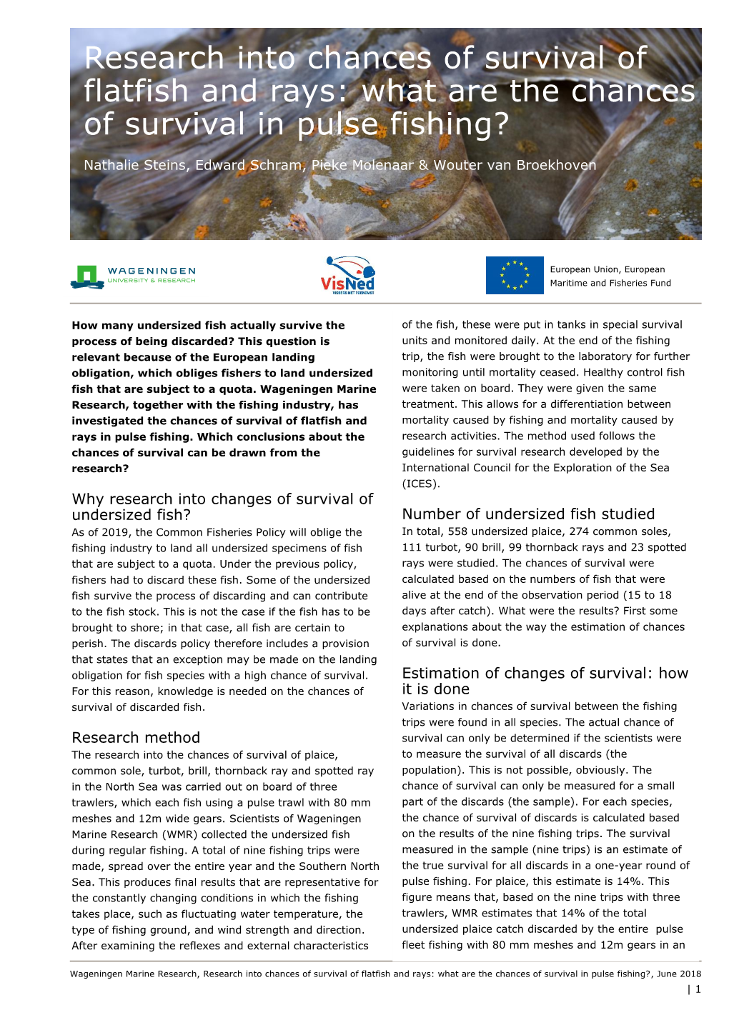 Research Into Chances of Survival of Flatfish and Rays: What Are the Chances of Survival in Pulse Fishing?