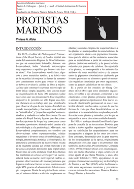 PROTISTAS MARINOS Viviana A