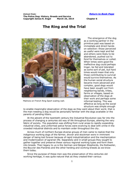 The Ring and the Trial