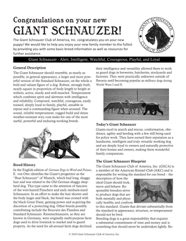GIANT SCHNAUZER! the Giant Schnauzer Club of America, Inc