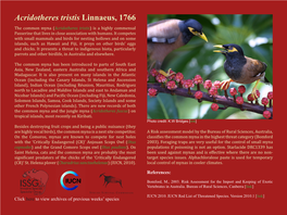 Acridotheres Tristis Linnaeus, 1766 the Common Myna (Acridotheres Tristis) Is a Highly Commensal Passerine That Lives in Close Association with Humans