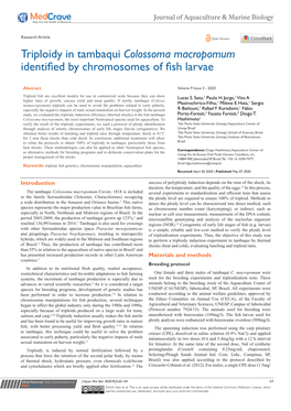 Triploidy in Tambaqui Colossoma Macropomum Identified by Chromosomes of Fish Larvae