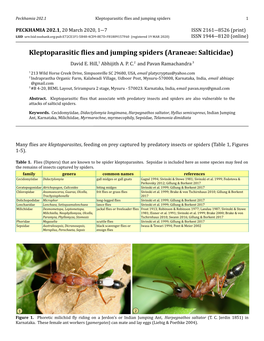 Kleptoparasitic Flies and Jumping Spiders 1