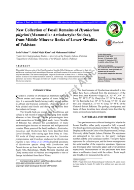 New Collection of Fossil Remains of Hyotherium Pilgrimi (Mammalia: Artiodactyla: Suidae), from Middle Miocene Rocks of Lower Siwaliks of Pakistan