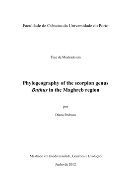 Phylogeography of the Scorpion Genus Buthus in the Maghreb Region