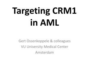 Targeting CRM1 in AML (Presented at ESH – Budapest)