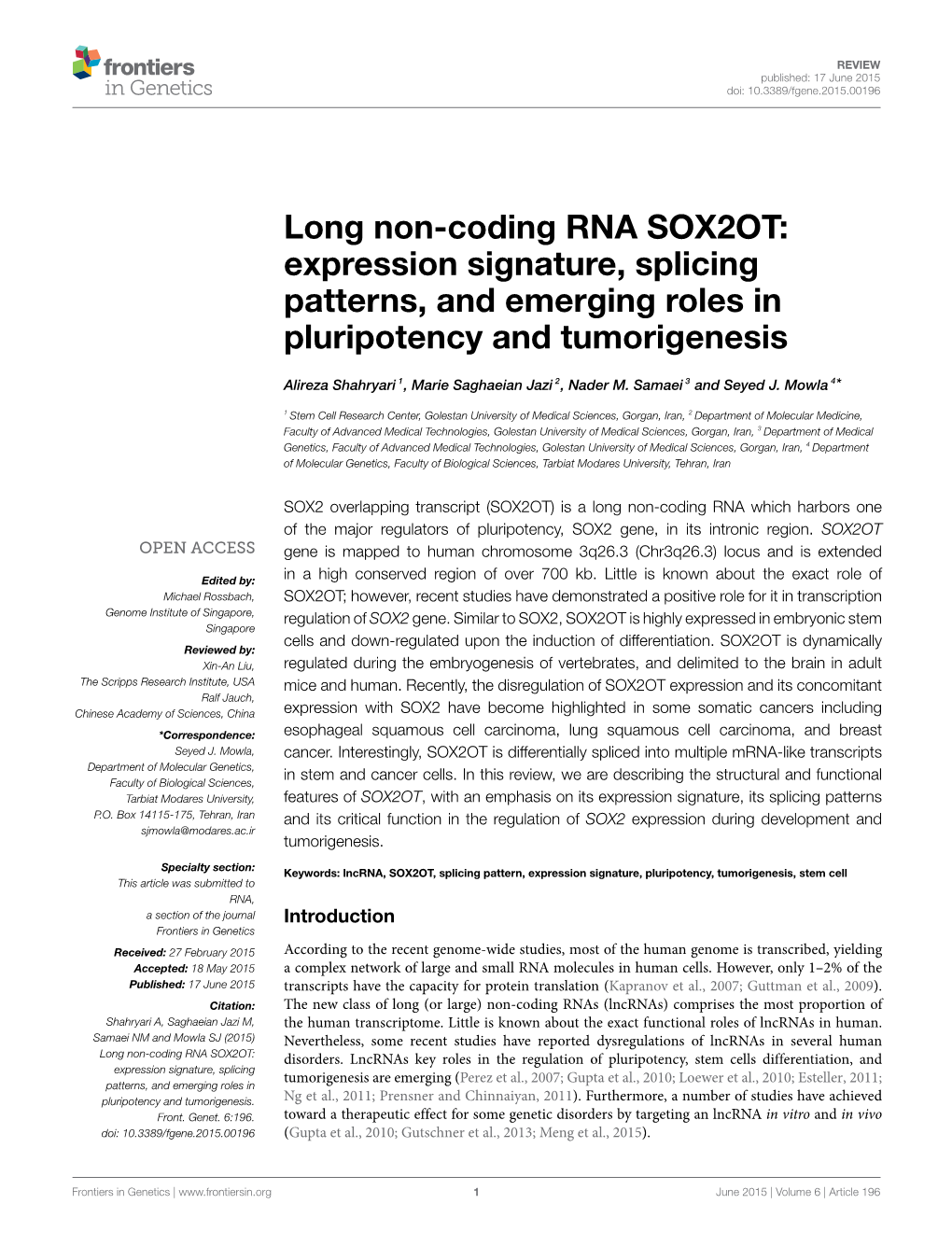 Long Non-Coding RNA SOX2OT: Expression Signature, Splicing Patterns, and Emerging Roles in Pluripotency and Tumorigenesis