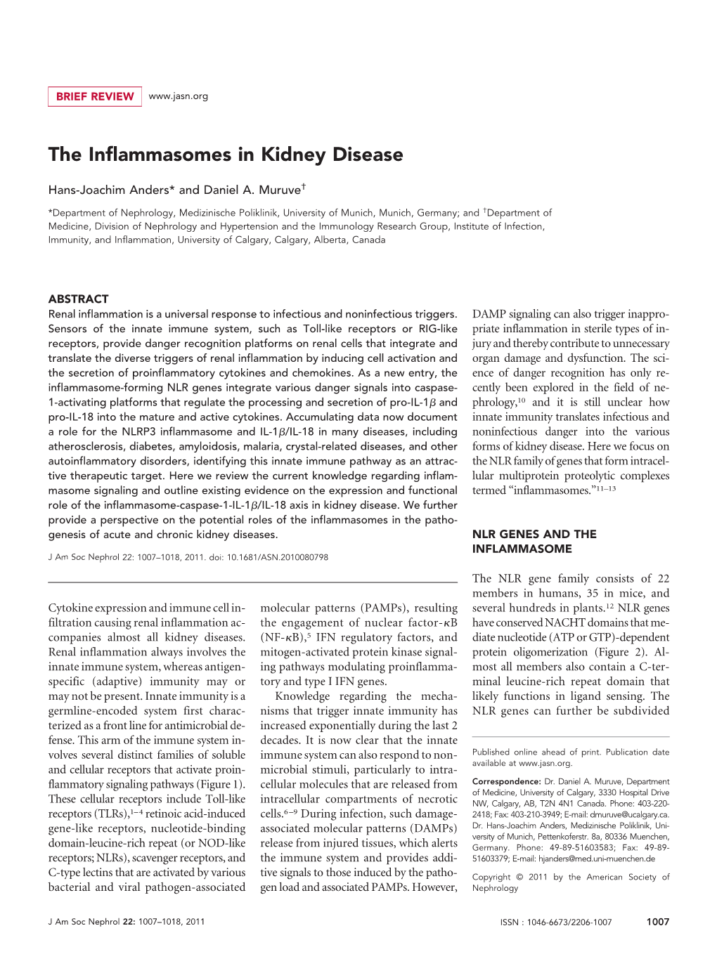 The Inflammasomes in Kidney Disease