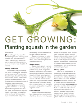 GET GROWING: Planting Squash in the Garden