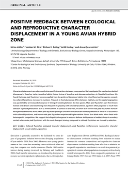 Positive Feedback Between Ecological and Reproductive Character Displacement in a Young Avian Hybrid Zone