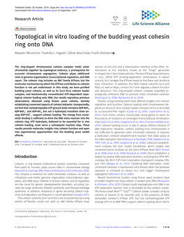 Topological in Vitro Loading of the Budding Yeast Cohesin Ring Onto DNA