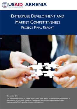 Enterprise Development and Market Competitiveness Project Final Report