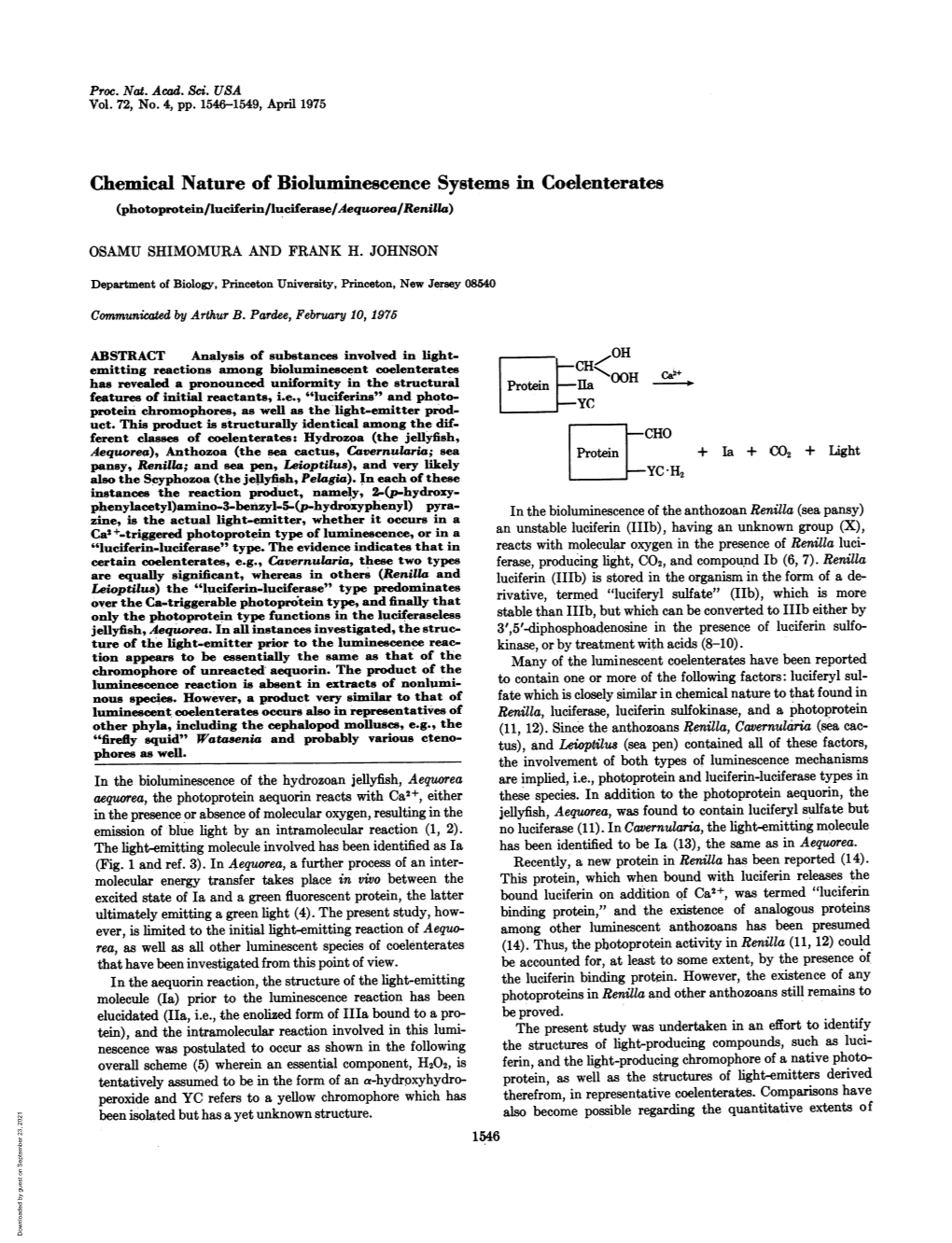 Chemical Nature of Bioluminescence Systems in Coelenterates (Photoprotein/Luciferin/Luciferase/Aequorea/Renilla)