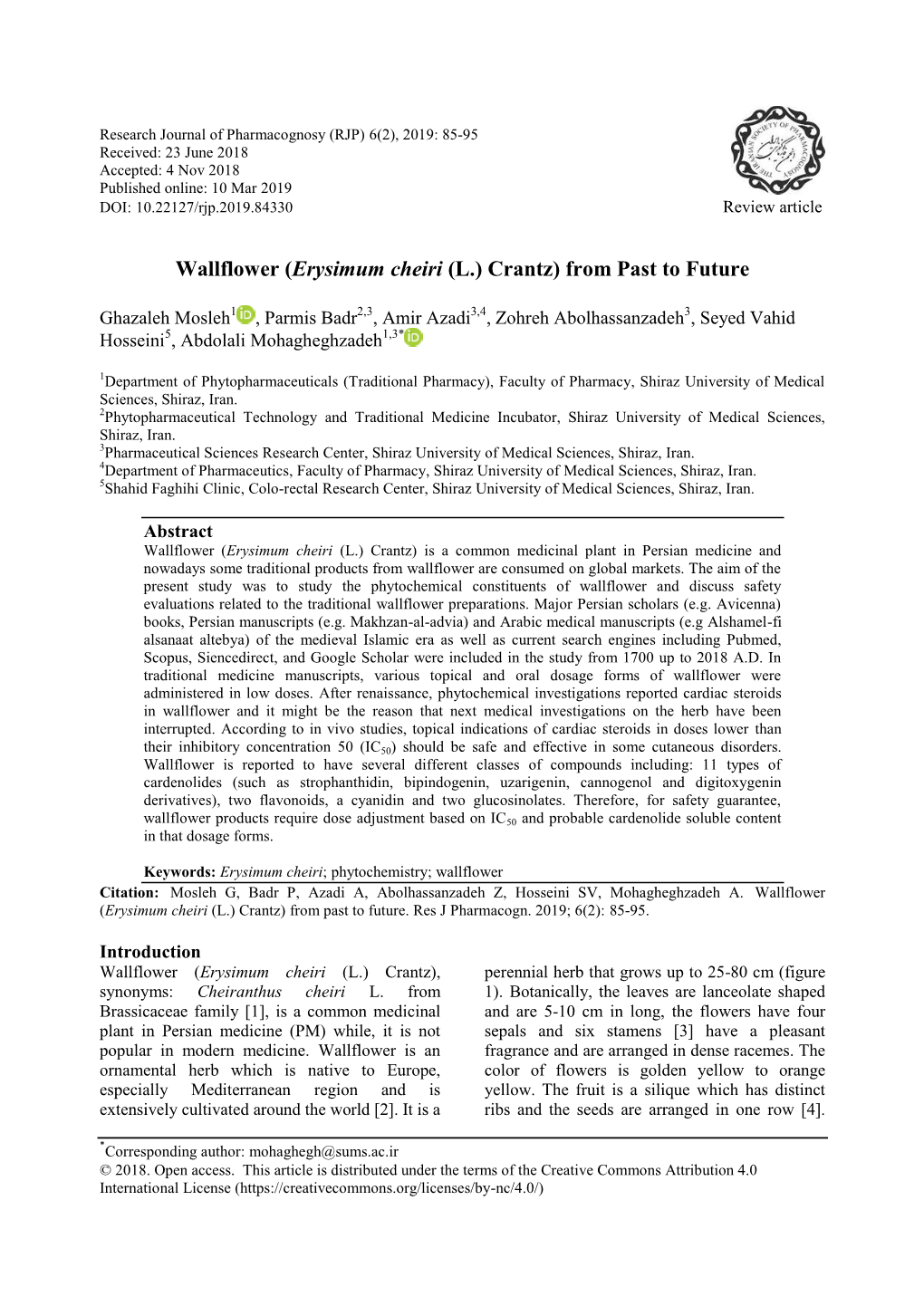 Wallflower (Erysimum Cheiri (L.) Crantz) from Past to Future