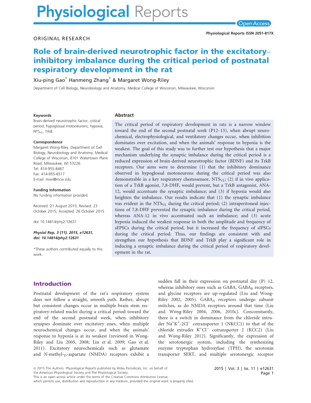 Role of Brainderived Neurotrophic Factor in the Excitatoryinhibitory Imbalance During the Critical Period of Postnatal Respirato