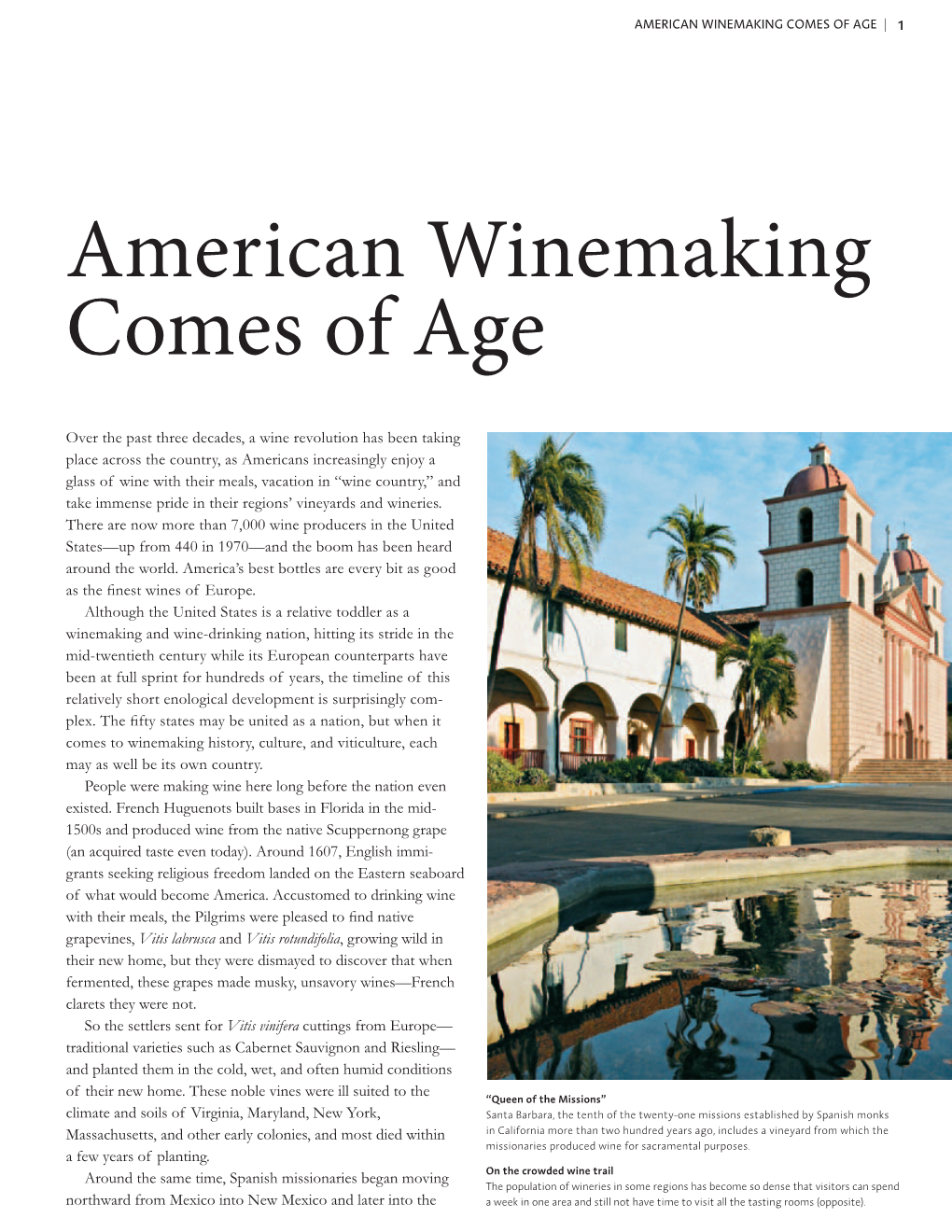 American Winemaking Comes of Age | 1