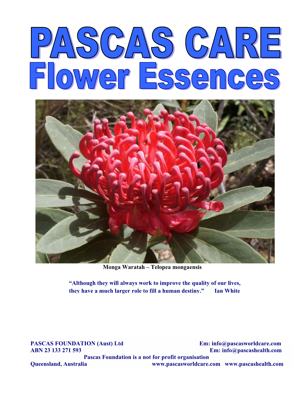 Monga Waratah – Telopea Mongaensis “Although They Will Always Work to Improve the Quality of Our Lives, They Have a Much