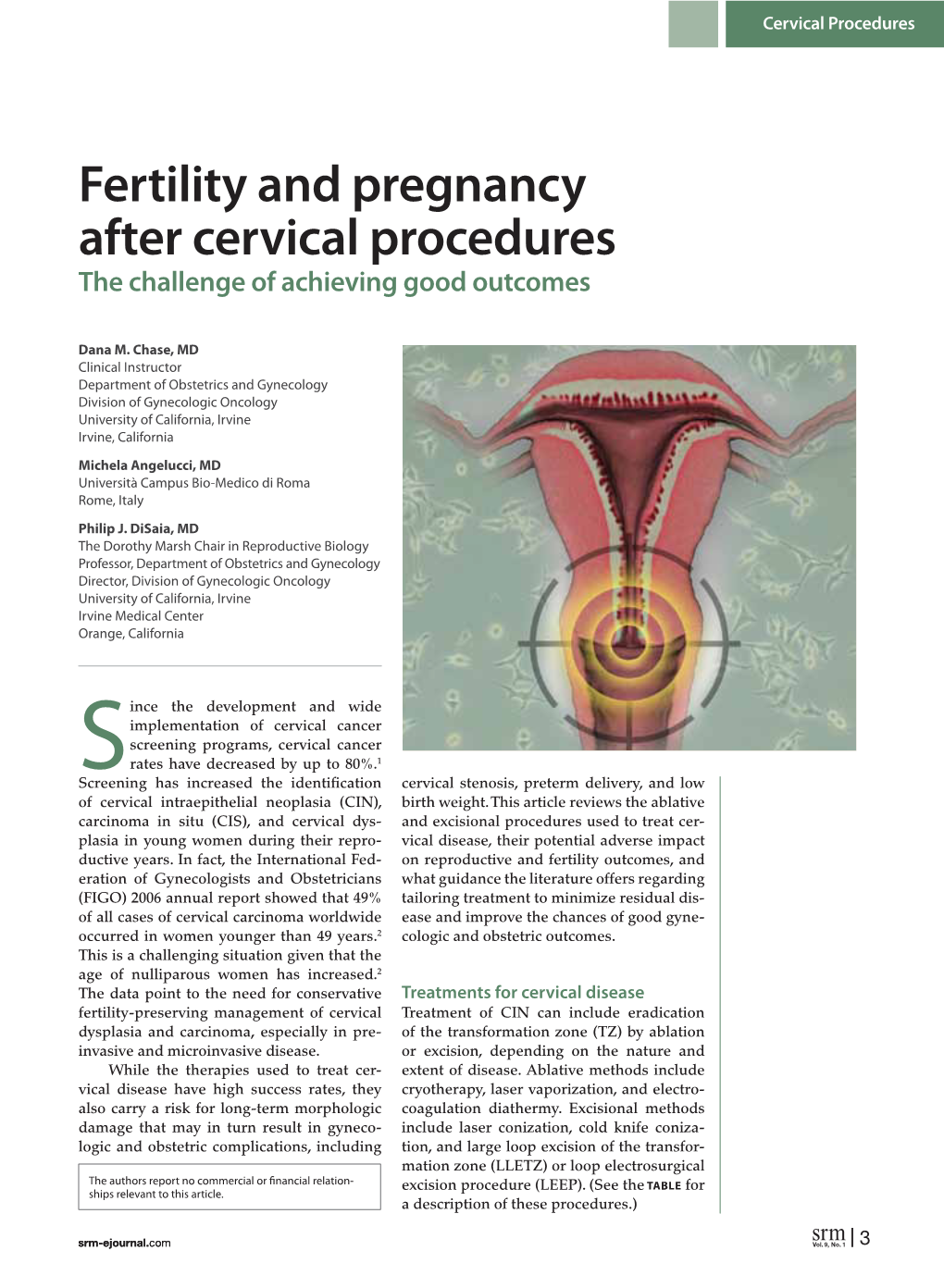 Fertility and Pregnancy After Cervical Procedures the Challenge of Achieving Good Outcomes