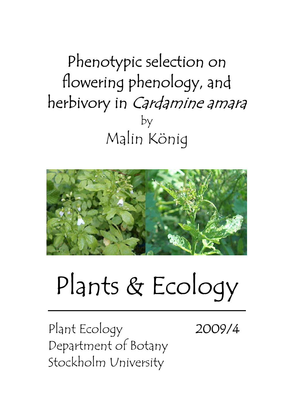 Plants & Ecology