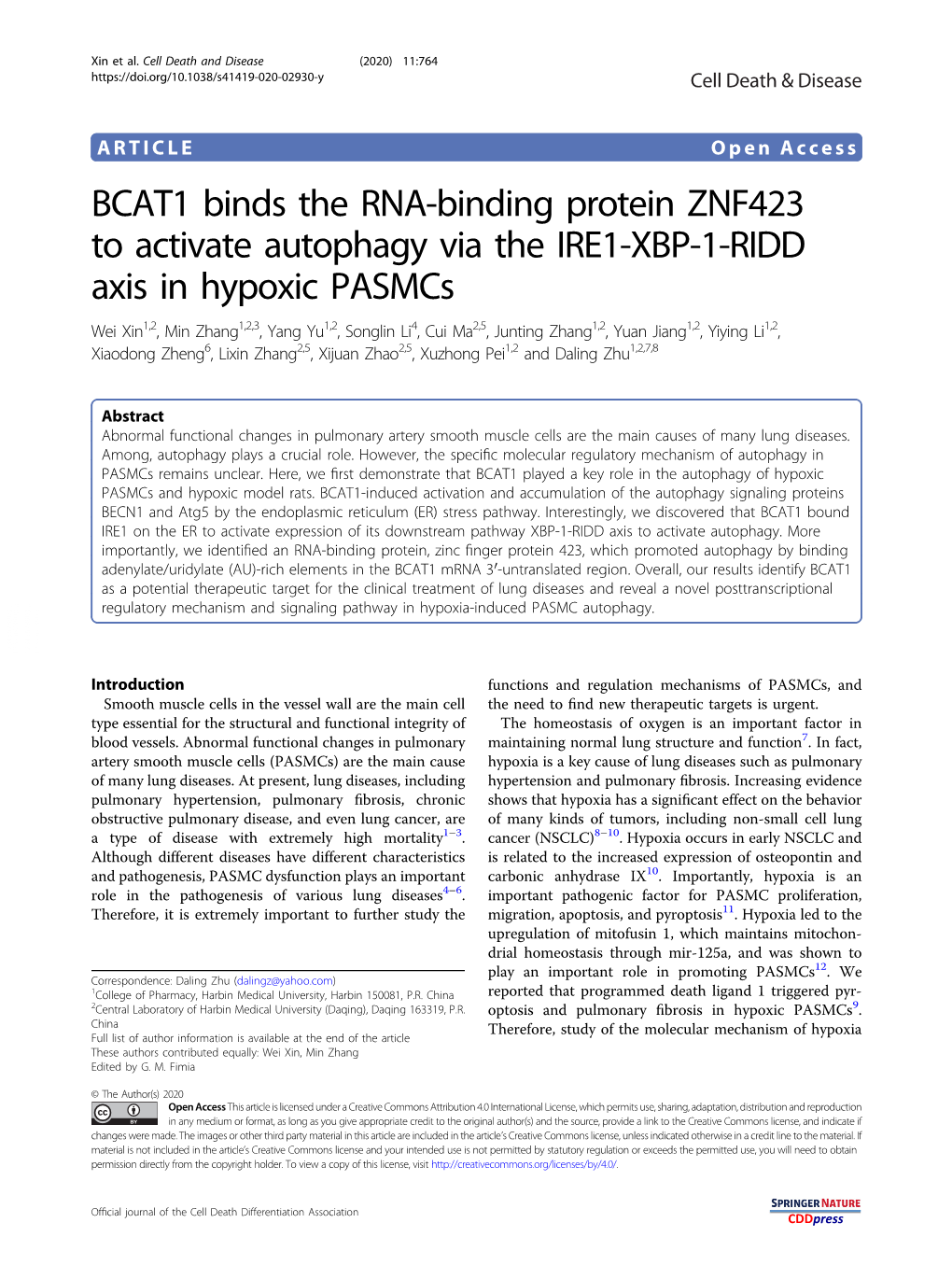 BCAT1 Binds the RNA-Binding Protein ZNF423 to Activate Autophagy Via the IRE1-XBP-1-RIDD Axis in Hypoxic Pasmcs
