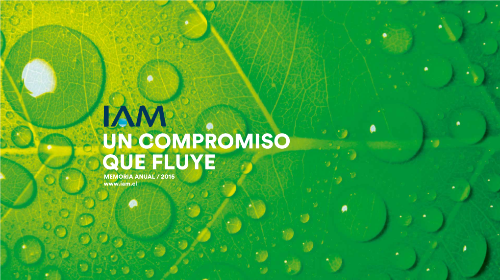 Un Compromiso Que Fluye