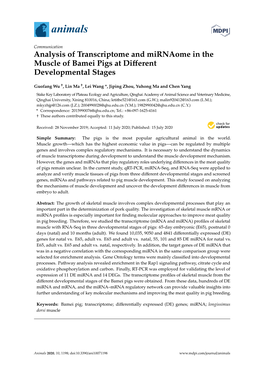 Analysis of Transcriptome and Mirnaome in the Muscle of Bamei Pigs at Diﬀerent Developmental Stages