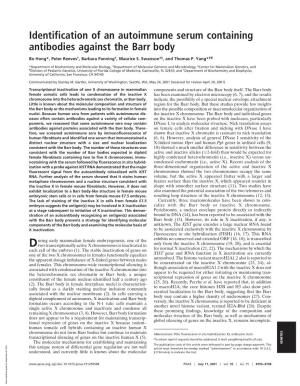 Identification of an Autoimmune Serum Containing Antibodies Against the Barr Body