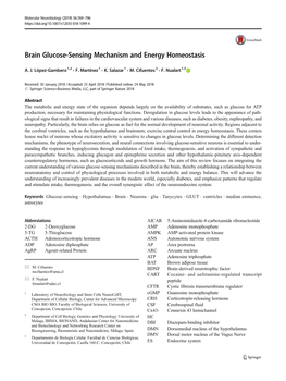 Brain Glucose-Sensing Mechanism and Energy Homeostasis