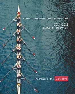 CIC Annual Report