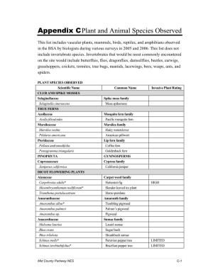 Appendix C Plant and Animal Species Observed