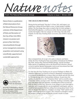 Volume 3, Issue 1 Winter 2009