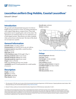 Leucothoe Axillaris Dog Hobble, Coastal Leucothoe1 Edward F