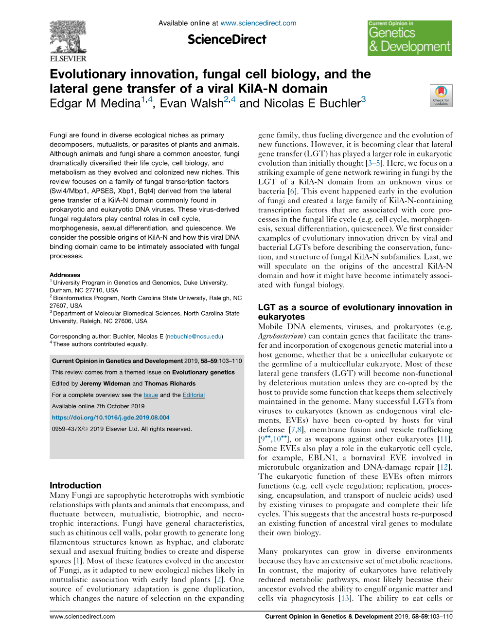 Evolutionary Innovation, Fungal Cell Biology, and the Lateral Gene