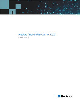 Netapp Global File Cache 1.0.3 User Guide