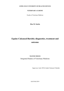 Equine Calcaneal Bursitis; Diagnostics, Treatment and Outcome