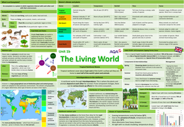 The Living World Components & Interrelationships Management