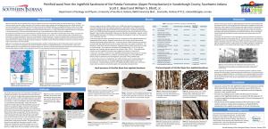 Petrified Wood from the Inglefield Sandstone of the Patoka Formation (Upper Pennsylvanian) in Vanderburgh County, Southwest Indiana Scott C