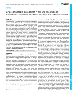 Glycosphingolipid Metabolism in Cell Fate Specification Domenico Russo1,*, Laura Capolupo1,2, Jaipreet Singh Loomba1,2, Lucia Sticco1 and Giovanni D’Angelo1,2,*