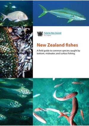 New Zealand Fishes a Field Guide to Common Species Caught by Bottom, Midwater, and Surface Fishing Cover Photos: Top – Kingfish (Seriola Lalandi), Malcolm Francis