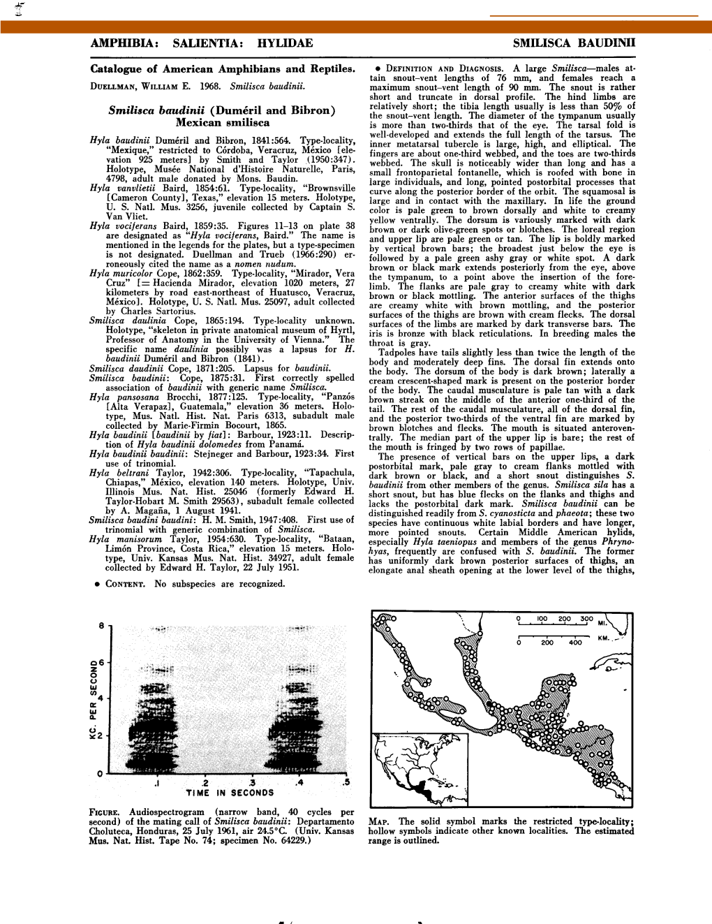 AMPHIBIA: SALIENTIA: HYLIDAE Catalogue of American