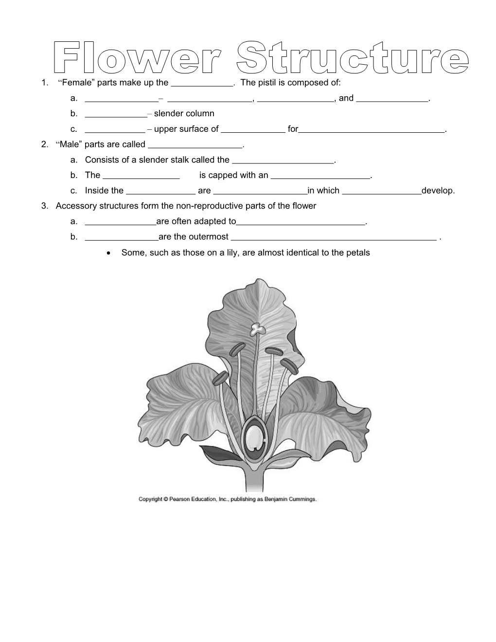 Female Parts Make up the . the Pistil Is Composed Of