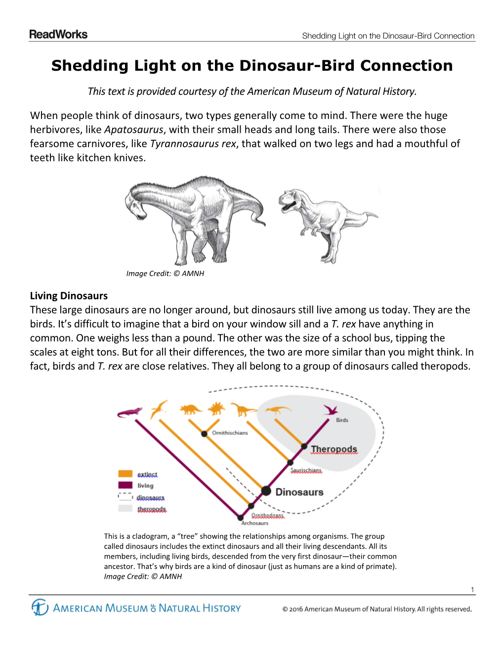 Shedding Light on the Dinosaur-Bird Connection