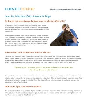 Inner Ear Infection (Otitis Interna) in Dogs